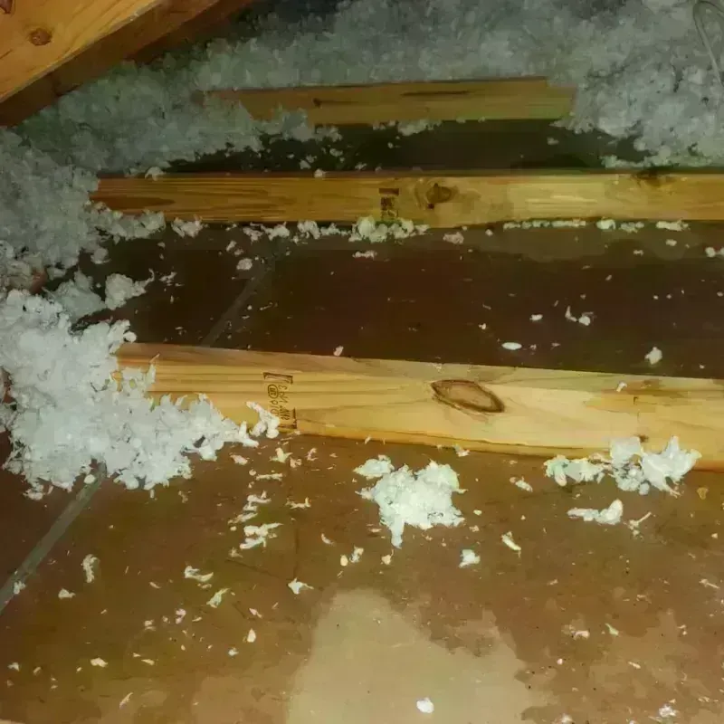 Attic Water Damage in Hood County, TX