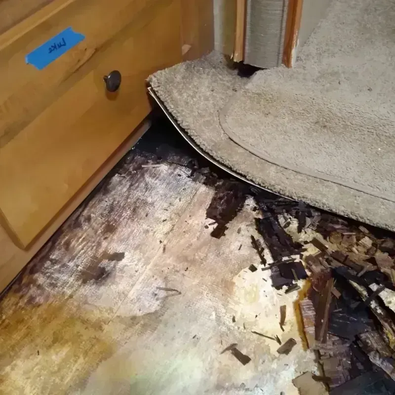 Wood Floor Water Damage in Hood County, TX